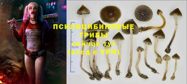 мяу мяу кристалл Козловка