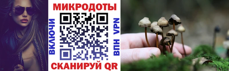 Купить где  Калачинск  Псилоцибиновые грибы мухоморы 